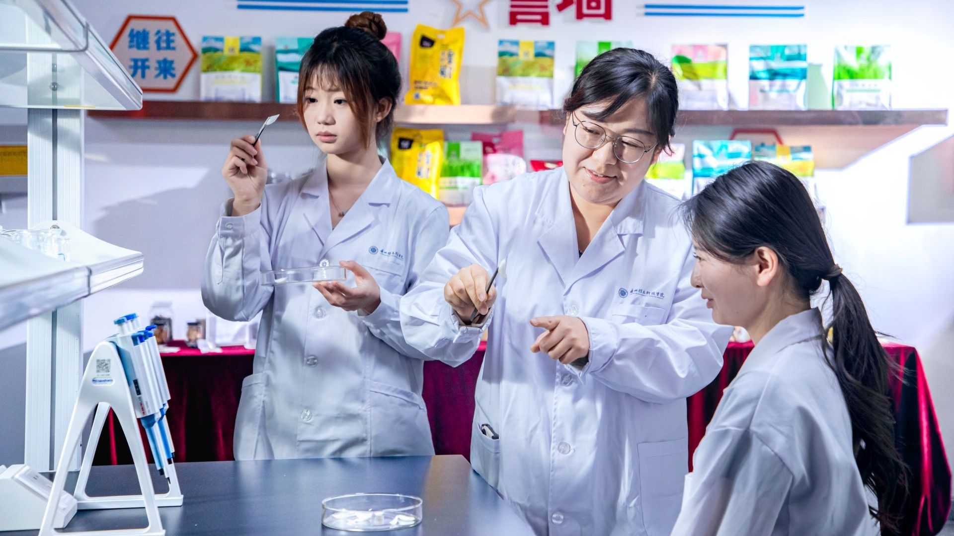 健康工程学院